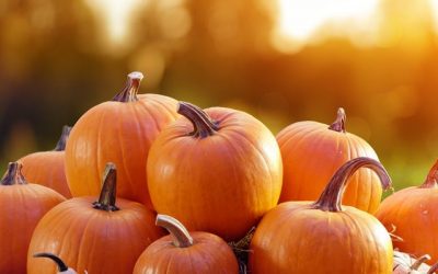 BEING A CHRISTIAN IS LIKE BEING A PUMPKIN