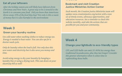 52 Ways to Care for Creation